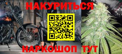 сатива Коммунар