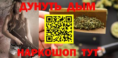 сатива Коммунар