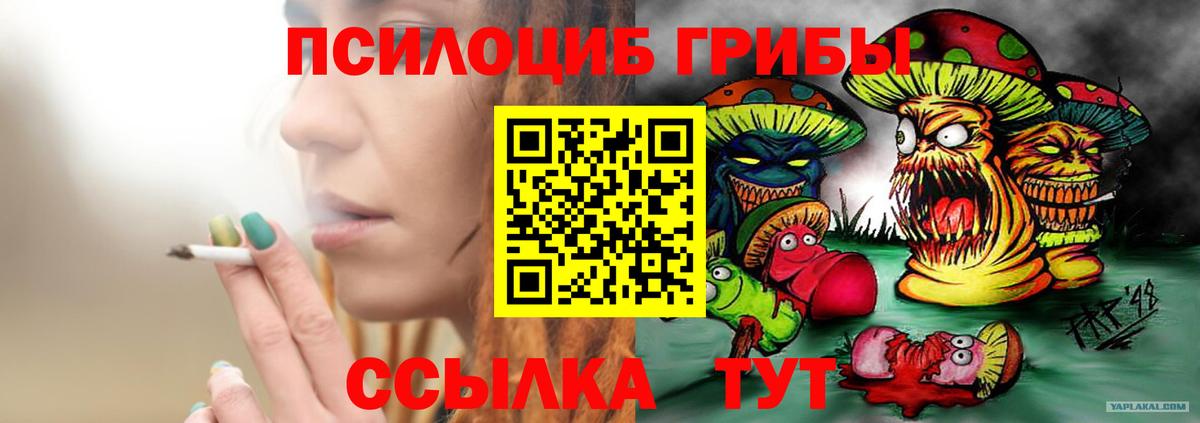 Грозный  Псилоцибиновые грибы Psilocybine cubensis  где можно купить наркотик  Вход с VPN 